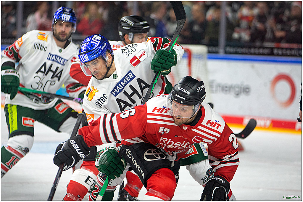 PENNY DEL; Koelner Haie- Augsburger Panther; Koeln, 20.12.2022